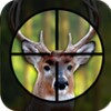 Deer Hunting In Forest