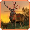 Deer Hunting Quest 3D
