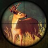Deer Hunting