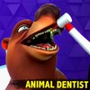 Dentist Animal Bling Doctor