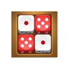 Dice Puzzle