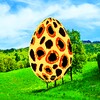 Dinosaur Eggs