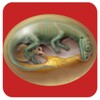 Dinosaurio Egg