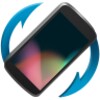 Display Orientator