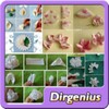 DIY Flower Craft Designs