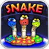 DmSnake2