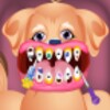 Dog At The Dentist