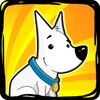 Dog Evolution