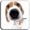 Dog Licks Screen LWP Free