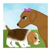 Dog Pregnancy