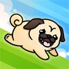 Dog Racing