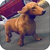 Dog Simulator 2016