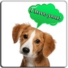 Dog Translator