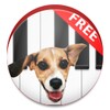 DogPiano