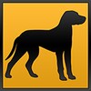 Dogs Of The World
