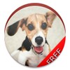 DogSoundsApp