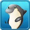 Dolphin Baby Birth