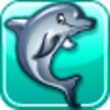 Dolphin Play