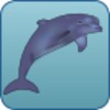 Dolphin Run