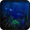 Dolphins 3d Wallpapers