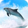 Dolphins 3D