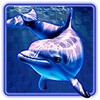 Dolphins Pearl Deluxe Slot