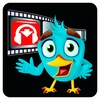 DownTube Descarga Musica MP3 Y Video Gratis