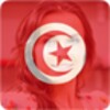 Drapeau De La Tunisie