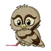 Draw Owls