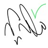 Draw Signature
