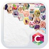 DreamLife Theme