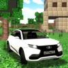 Driver Steve: XRay