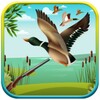 Duck Hunting 3D