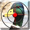 Duck Hunting Season