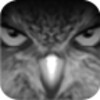 EagleEyes(Lite+)