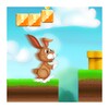 Easter Bunny Run