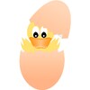 Egg 2