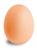 Egg Break