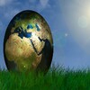 Eggs World