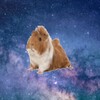 El Viaje Astral De Cuyberto