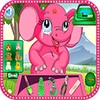 Elephant At Doctor