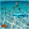 Escape Shark