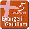 Evangelii Gaudium 5 Min