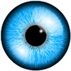 Eye Spinner