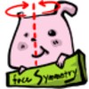 Face Symmetry