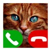 Fake Call Cat