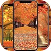 Fall Wallpaper 4K