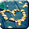 Fallen In Love