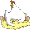 Falling Eggs