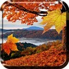 Falling Leaves Live Wallpaper